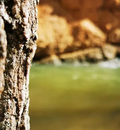 Albergue Albarracin *