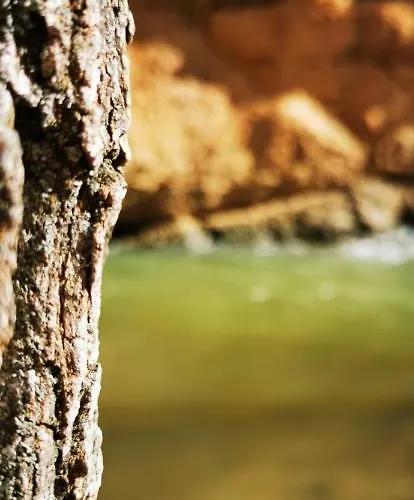 Albergue Albarracín *